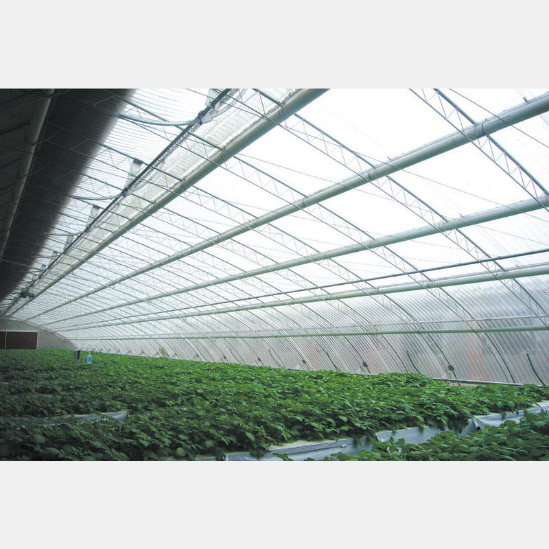 專業構筑，智慧生長 盛騰溫室引領蔬菜大棚現代化建造新風尚