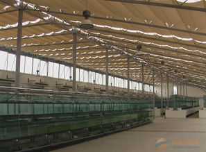 溫室農業產業鏈全景 品牌、采購、圖片與批發中的大棚材料及配套設施設計