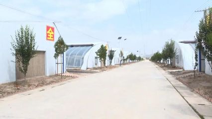 科技賦能，高效發展 本市現代農業溫室建設穩步推進