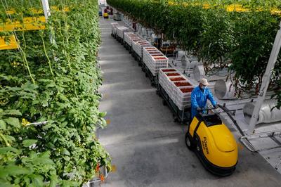 從春天啟程！古浪縣域經濟發展跑出“加速度” 干出“新精彩”——農業溫室篇