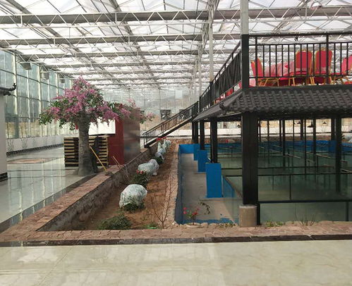 日光溫室大棚今日報價與濮陽智博農(nóng)業(yè)科技的專業(yè)解決方案