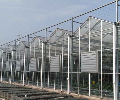 溫室大棚材料全解析 瑞眾農業與常見農業溫室類型