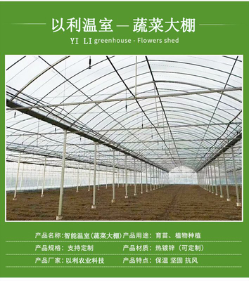 以利農業 專業化設計與一站式服務，打造高效智能的花卉養殖大棚與連棟玻璃溫室